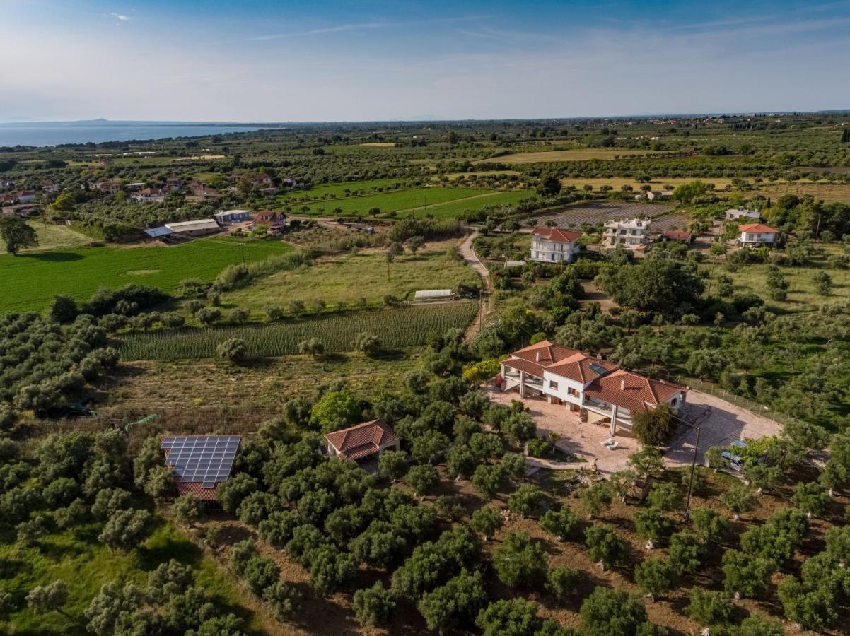 Ionianeon Apartments Agios Ilias  Exteriör bild