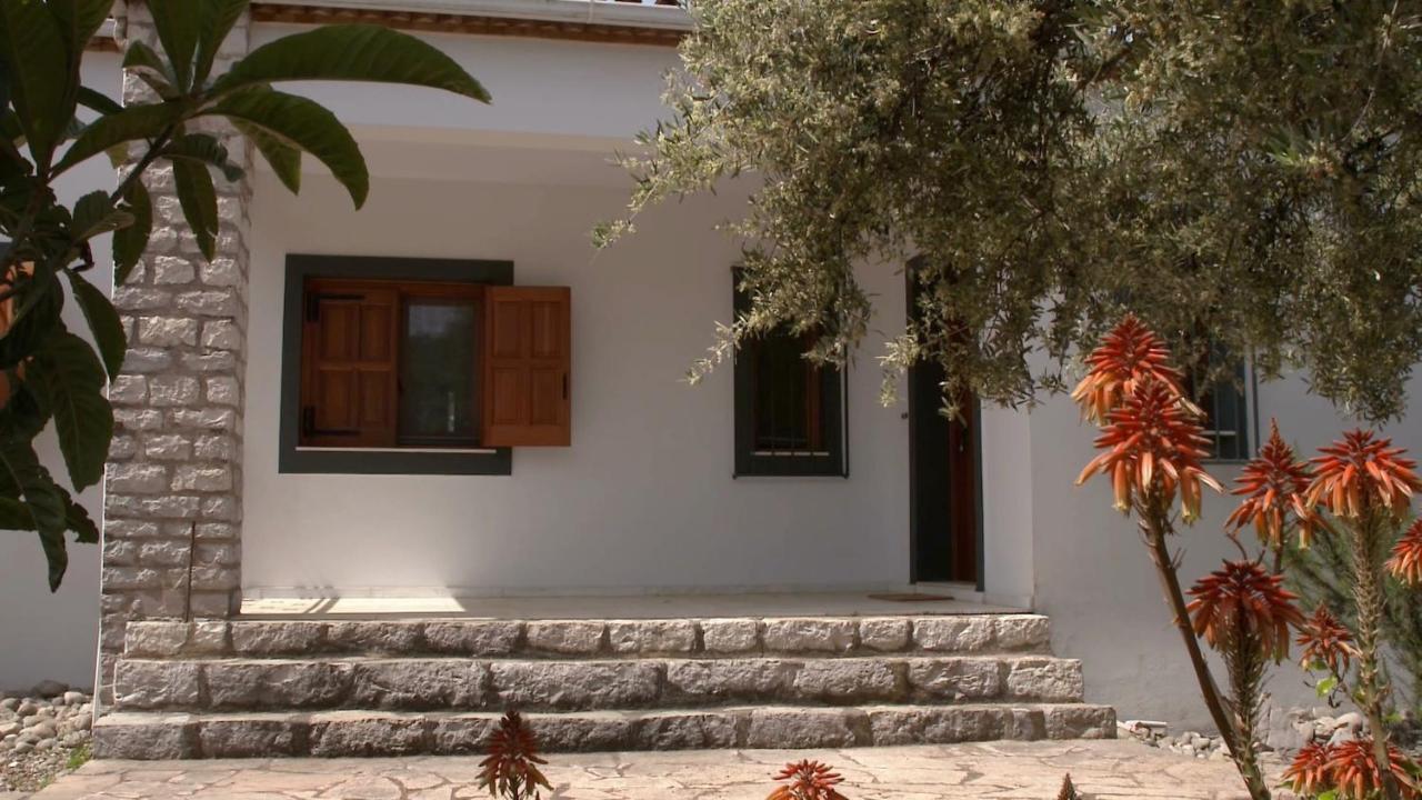 Ionianeon Apartments Agios Ilias  Exteriör bild